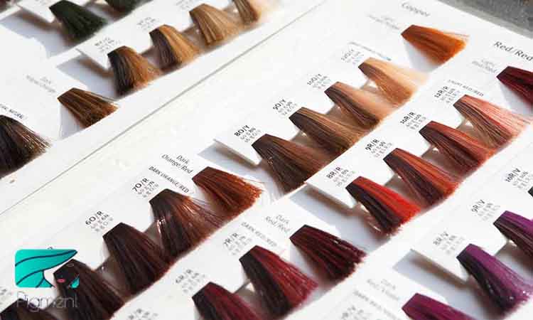 رنگ پایه مو چیست و چند پایه برای مو وجود دارد؟